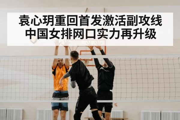volleyball net block