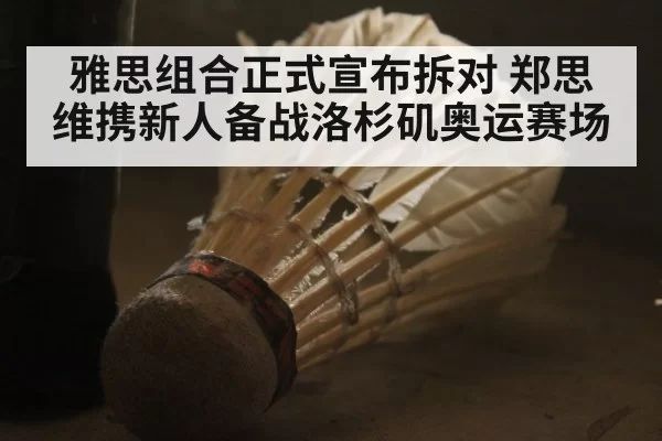 雅思组合正式宣布拆对 郑思维携新人备战洛杉矶奥运赛场
